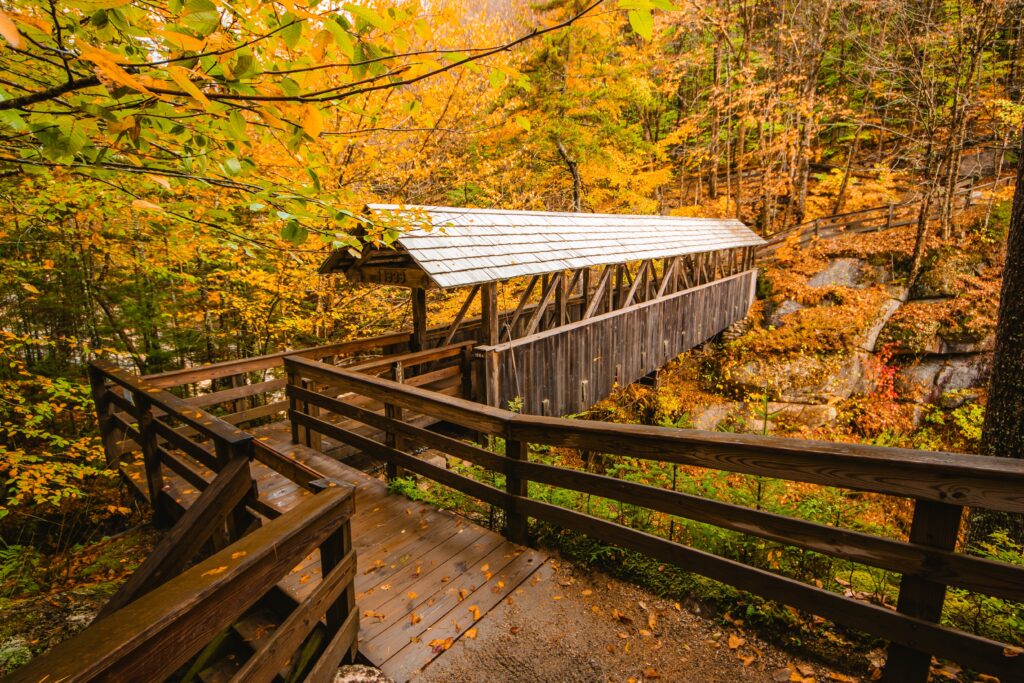A wooden footbridge with a shingled roof spans a ravine surrounded by autumn trees.