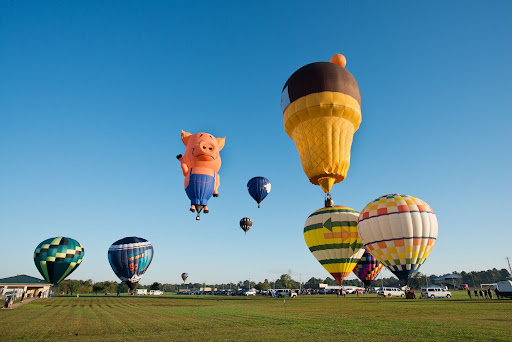 Multiple hot air balloons in flight, including shaped balloons resembling a pig and an ice cream cone, above a grassy field.